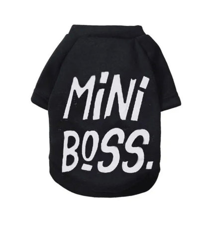 Mini boss